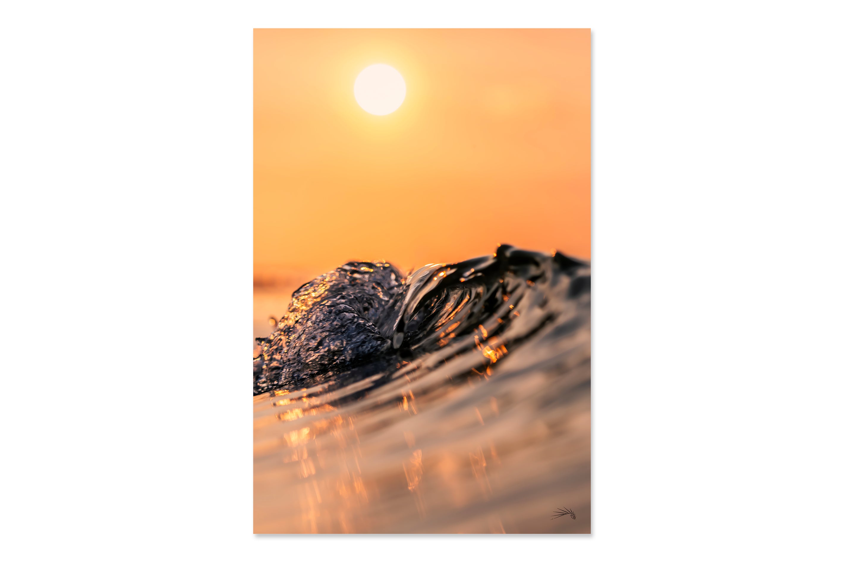 Catchin Rays – Offshore Origins LLC