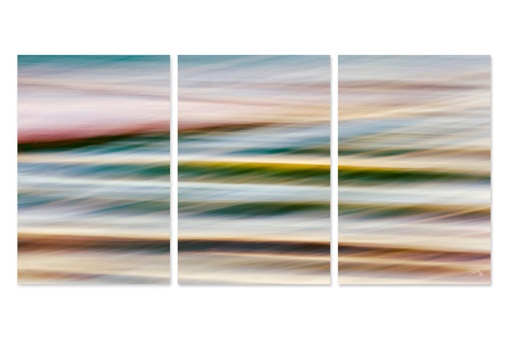 Wind Swept - 30x60 Triptych - Matte